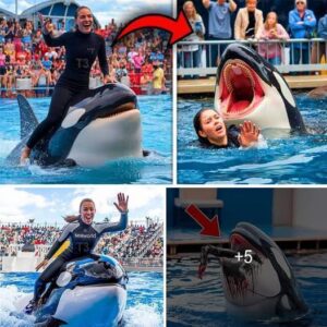 Orca trainer is devoured by this one while perfor…