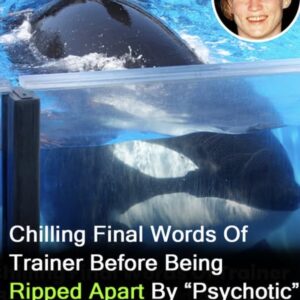 Chilling last words of trainer ripped apart by ‘psychotic’ killer whales