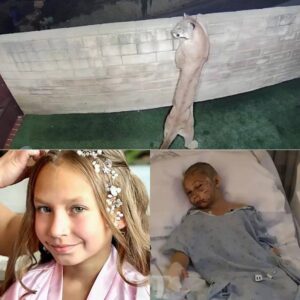 An ordinary day in Malibu turned into a nightmare when an 11-year-old girl was suddenly @tt@ck3d by a mountain lion right outside her home. Out of nowhere,…-TT
