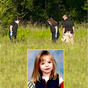 Missing Girl Found in the Woods, Her Mother Was the One Who Tried to Save Them All!