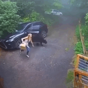 She Opened Her Car Door—And Came Face to Face with a Bea