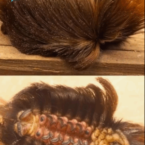 If You Spot This “Cute” And Fuzzy Insect In Your Yard, You Had Better Know What It Is