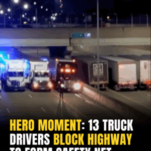 No One Knows Why 13 Truck Drivers Blocked The Highway, When They Found Out Why Tears Flow No One Knows Why 13 Truck Drivers Blocked The Highway, When They Found Out Why Tears Flow
