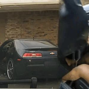 Nashville Traffic Stop Turns Deadly: A Closer Look at the Incident That Shocked a City Nashville Traffic Stop Turns Deadly: A Closer Look at the Incident That Shocked a City