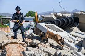 Dog and Rescue Team Save Infant