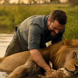 A man rescued a lion from drowning, but when they got to the river bank, the lion did something unexpected.
