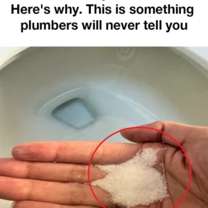 Put salt in your toilet. Here’s why. This is something plumbers will never tell you