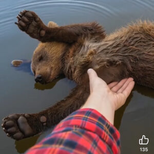 NEVER COME BETWEEN A MOTHER AND HER CUB