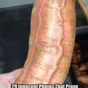 This is pictures that need a second look!