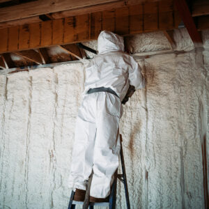 He Noticed a Strange Smell in His House — What He Found Hidden Inside the Wall Left Him in Shock