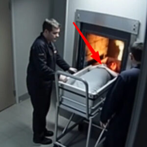 During His Wife’s Cremation, a Husband Sees Her Belly Move… Rowan Hart thought he’d found his During His Wife’s Cremation, a Husband Sees Her Belly Move… Rowan Hart thought he’d found his