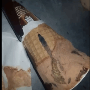 A Simple Ice Cream Led to a Beautiful Life Lesson A Simple Ice Cream Led to a Beautiful Life Lesson