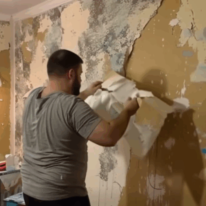 After Our Divorce, My Ex Took Back the Wallpaper He Paid For – Life Had Other Plans for Him After Our Divorce, My Ex Took Back the Wallpaper He Paid For – Life Had Other Plans for Him