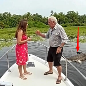 “Go Down To The River With The Crocodiles,” My Daughter-in-law Whispered As She Pushed Me