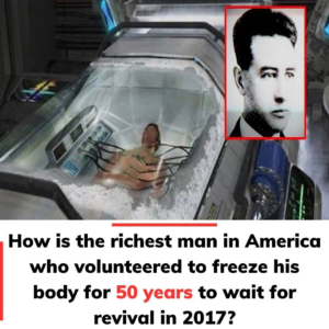 Cryonic Preservation: The 50-Year Story of the First Frozen Human