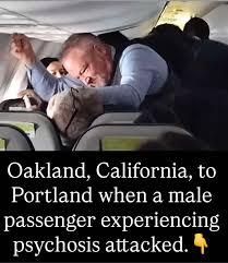 Alaska Airlines Flight 2221: How Quick Thinking Prevented Disaster