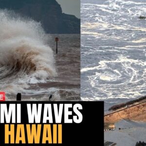 First waves hit Hawaii after huge earthquake