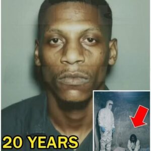 The Buried Truth! How a Chicago Case Redefined Justice and Exposed the Hidden Cost of Assumption