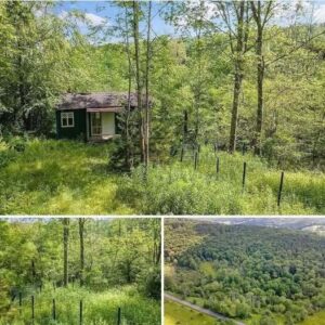 Nestled in nature’s embrace, this quaint 1.5-acre lot offers ,000