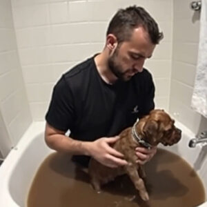 I saved a dirty, miserable animal, thinking it was just an ordinary puppy… but at