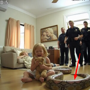 Through her tears, a little girl called 911 and said, “My stepdad’s big snake hurt