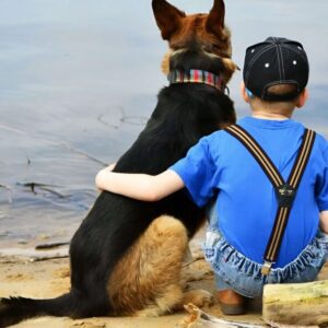 Before the surgery, the boy hugged his dog, but suddenly the dog jumped off the bed and lunged at one of the doctors: everyone was horrified when they realized the reason for the dog’s strange behavior