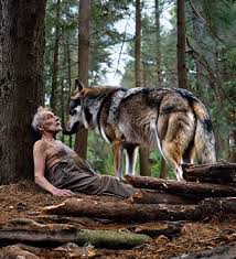 His own children abandoned the old man in the forest without food or water for the inheritance, hoping that wild animals would devour him – but what the wolf did shocked everyone