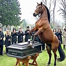 On the day of my husband’s funeral, his horse broke the lid of the coffin.