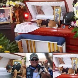 See what happened at the wake after this dog lost his owner… See more