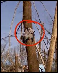 A Family’s Frightening Night Becomes a Story o