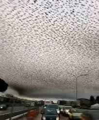 ALERT EVERYONE One Hour Ago Mhoni Vidente WARNED…See more.