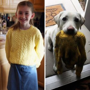 The Morning My Dog Wouldn’t Stop Scratching at the Door