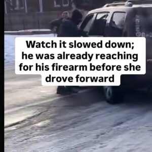 A **U.S. Immigration and Customs Enforcement (ICE) agent shot and killed a 37-year-old woman