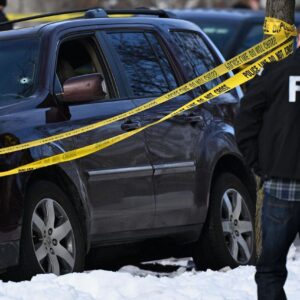 Federal Immigration Operation in Minneapolis Results in Fatal Incident
