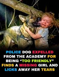 K9 Dog Detects a Child’s Secret Plea — His Discovery Saved Many Lives