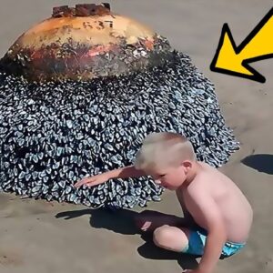 Children Discovered Bizarre Objects on the Shore — Experts Were Amazed