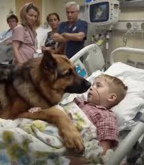Heartwarming moment: Boy hugs his dog before surgery — what happens next shocks everyone