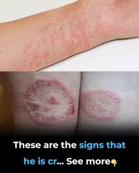 These are signs that he is cr… See more