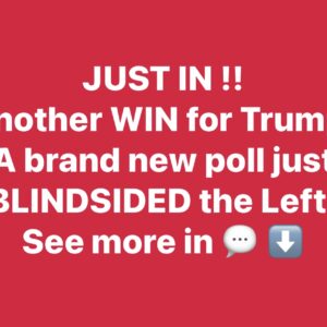JUST IN / New Poll Vindicates Trump, Shows Huge Majority Backing Mass Deportations