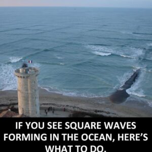 Here’s What To Do If You See Square Waves Forming In The Ocean