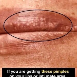 Healthy Eating Habits That Improve Daily Focus