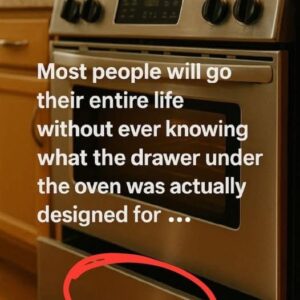 Think You Know Your Kitchen? The Secret Use of That Drawer Under the Oven Will Surprise You