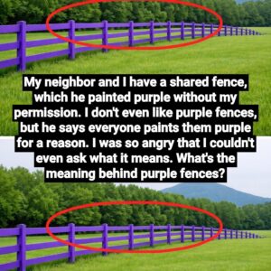 What a Purple Fence Means: The “No Trespassing” Signal Explained