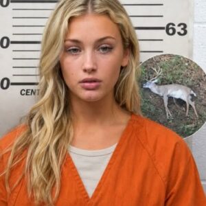 Shocking Discovery In Remote Forest Leads To Arrest Of Young Woman In Bizarre Wildlife Case