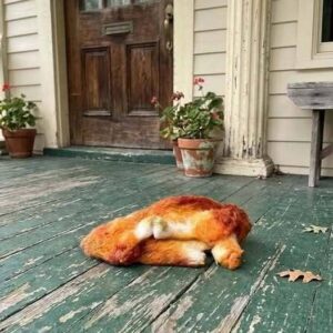 This morning, I stepped out onto the porch to get some fresh air and discovered this. Honestly, at first, I was really scared. Then, once the fear passed, I started examining it carefully, trying to figure out what it was. Does anyone know? Check the first comment for the answer 👇