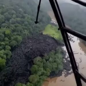 OMG Unbelievable footage from the Amazon…