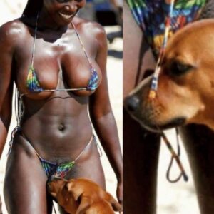 If your dog is sniffing your gen!tal area, it means you have…see more.
