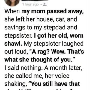 They Mocked My Old Shawl Until They Learned Its Hidden Secret