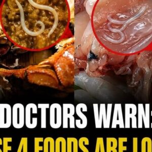 Doctors Issue Urgent Warning: Stop Eating These 4 Everyday Foods Immediately Before They Destroy Your Body From the Inside Out!