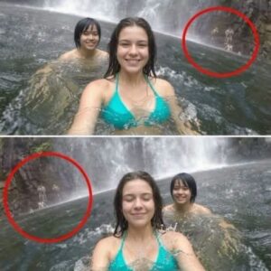 The Hidden Truth Behind Ordinary Images That Most Observers Completely Fail to Notice
